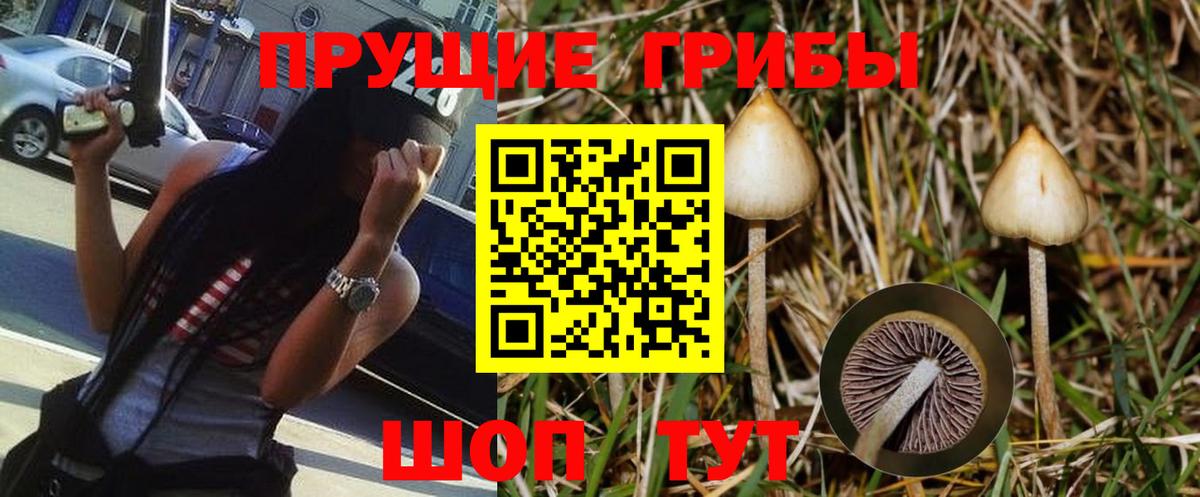 Нижний Тагил  Псилоцибиновые грибы GOLDEN TEACHER  Псилоцибиновые грибы MAGIC MUSHROOMS  Вход с VPN 